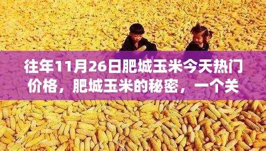 肥城玉米的秘密,友情、家庭与温馨日常的热门故事,今日价格揭秘