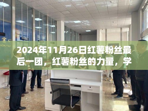 第2421页