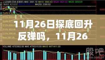 第2419页