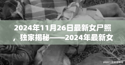 独家揭秘，深度解析2024年最新女尸照产品评测报告