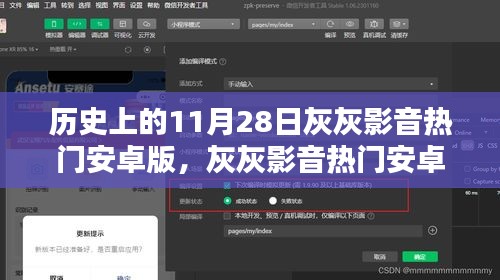 历史上的11月28日灰灰影音热门安卓版，灰灰影音热门安卓版，历史上的11月28日，科技重塑视听盛宴