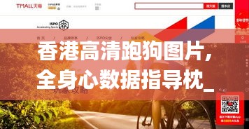 攀高结贵 第4页