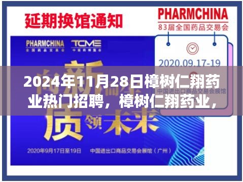 阿胶究竟有哪些功效 第525页