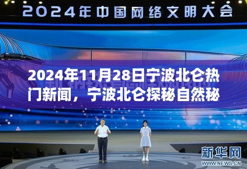 诚心诚意 第5页
