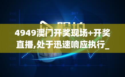 2024年12月 第923页