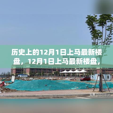 12月1日上马最新楼盘全攻略，零基础购房指南
