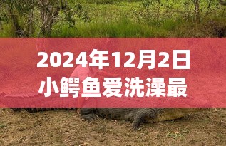 穿越自然秘境，2024年小鳄鱼爱洗澡最新版的沐浴之旅