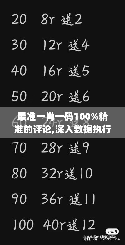 最准一肖一码100%精准的评论,深入数据执行方案_U49.711-4