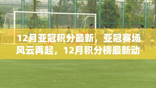 2024年12月7日 第28页