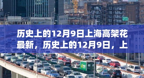上海高架花卉的变迁之旅，纪念历史上的12月9日独家报道
