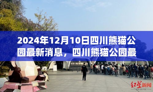 深度解读与观点阐述