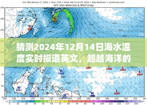 2024年12月 第232页