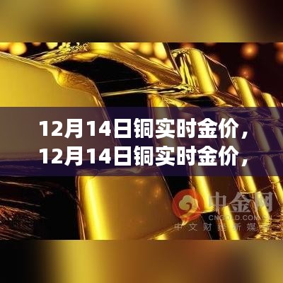 2024年12月 第219页