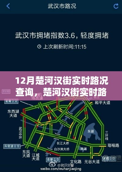 2024年12月 第215页