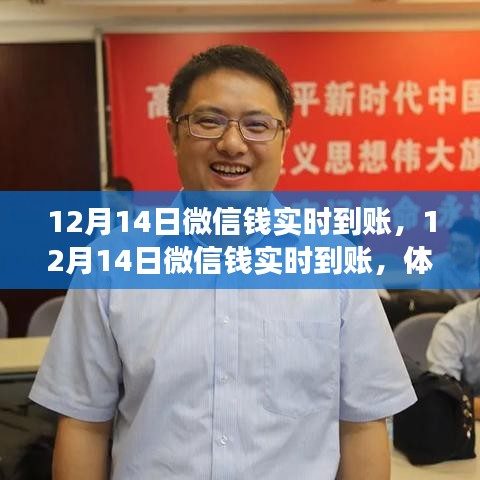 2024年12月 第212页