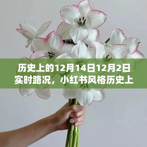 2024年12月 第209页