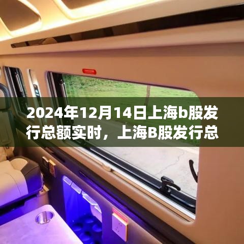 2024年12月 第202页
