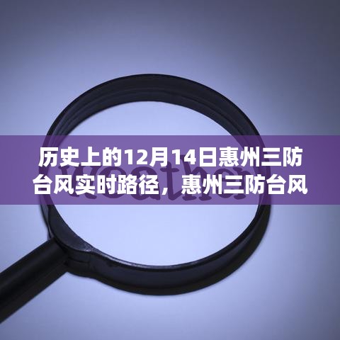 惠州三防台风下的温馨守护，历史12月14日台风实时路径与风的奇妙旅程