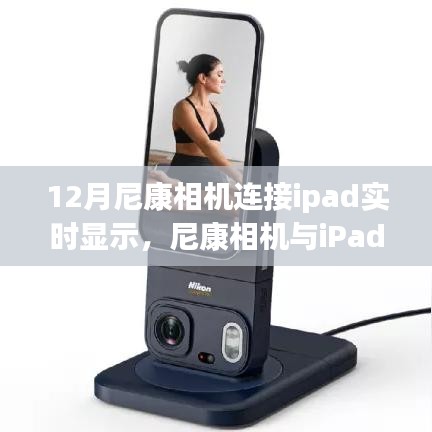 2024年12月 第171页