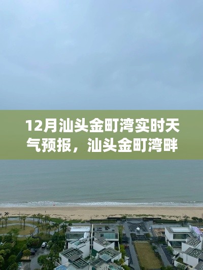 2024年12月 第160页