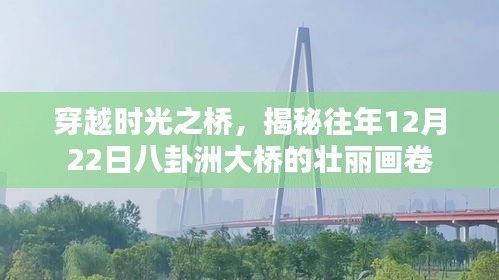 2024年12月 第71页