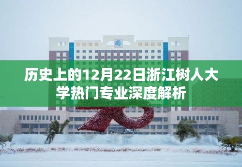 浙江树人大学热门专业深度解析，历史篇——12月22日特辑