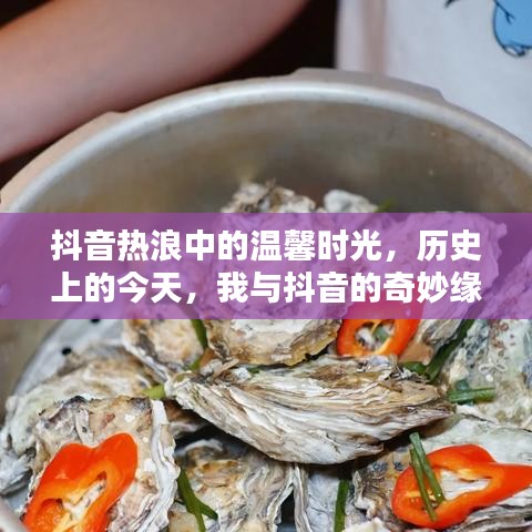 抖音热浪中的温馨时光，我与抖音的奇妙缘分今日回顾