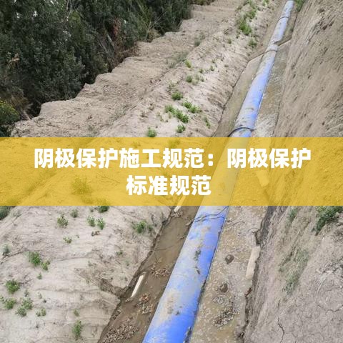物稀为贵 第3页