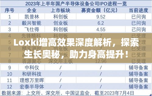 Loxki增高效果深度解析，探索生长奥秘，助力身高提升！