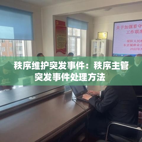 秩序维护突发事件：秩序主管突发事件处理方法 