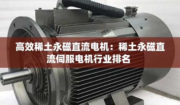 高效稀土永磁直流电机：稀土永磁直流伺服电机行业排名 