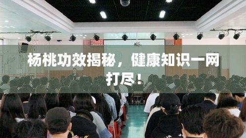 杨桃功效揭秘，健康知识一网打尽！