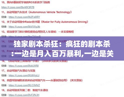 抛砖引玉 第3页