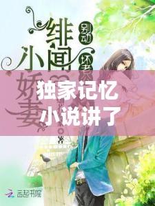 独家记忆 小说讲了什么:独家记忆小说主要内容