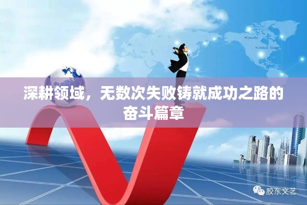深耕领域,无数次失败铸就成功之路的奋斗篇章
