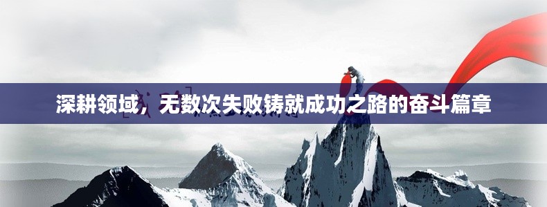 深耕领域,无数次失败铸就成功之路的奋斗篇章