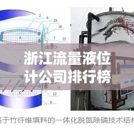 浙江流量液位计公司排行榜及行业影响力深度解析