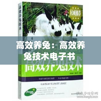 高效养兔：高效养兔技术电子书 