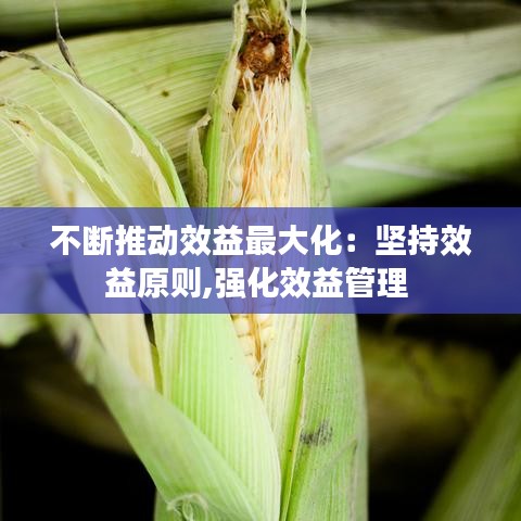 不断推动效益最大化：坚持效益原则,强化效益管理 