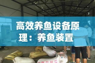 高效养鱼设备原理：养鱼装置 