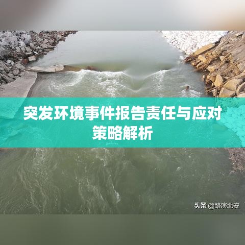 亭亭玉立 第3页