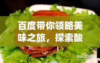 百度带你领略美味之旅，探索酸辣口菜肴的魅力！