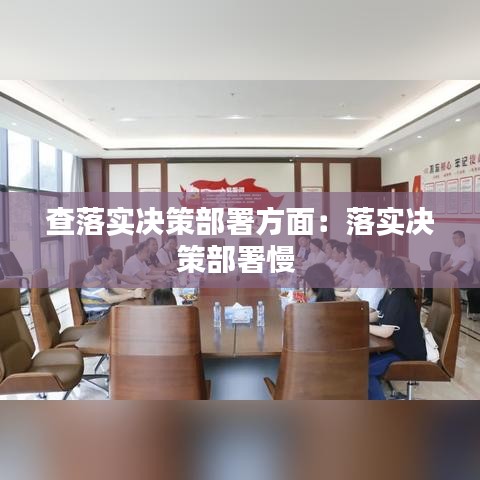 查落实决策部署方面：落实决策部署慢 