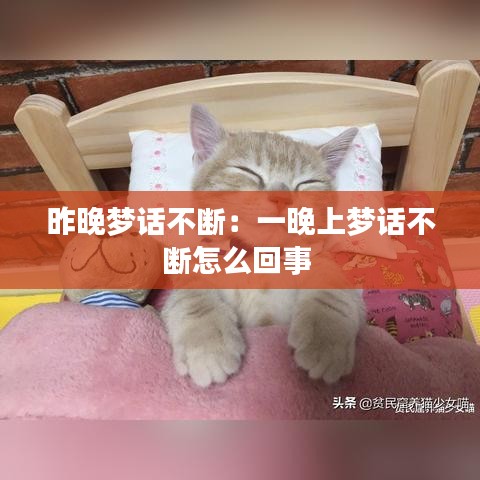 昨晚梦话不断：一晚上梦话不断怎么回事 
