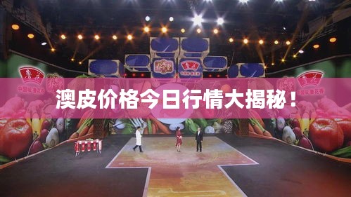 澳皮价格今日行情大揭秘！