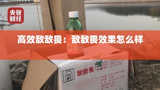 不知不觉 第3页