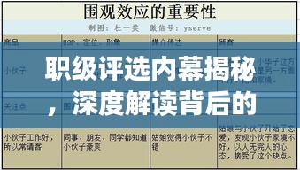 职级评选内幕揭秘，深度解读背后的故事