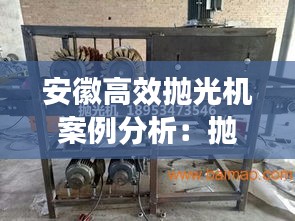 鸟声兽心 第3页