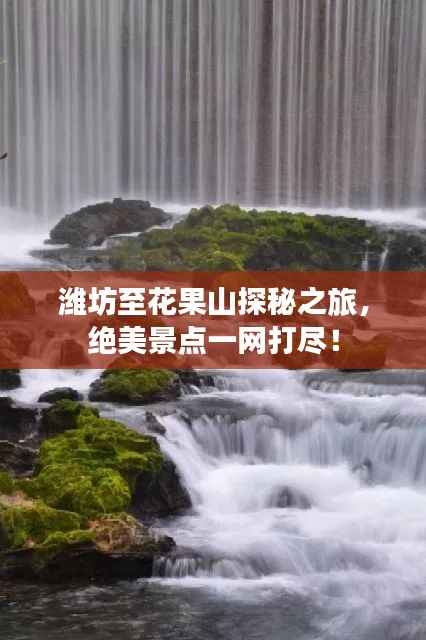 神采飞扬 第2页
