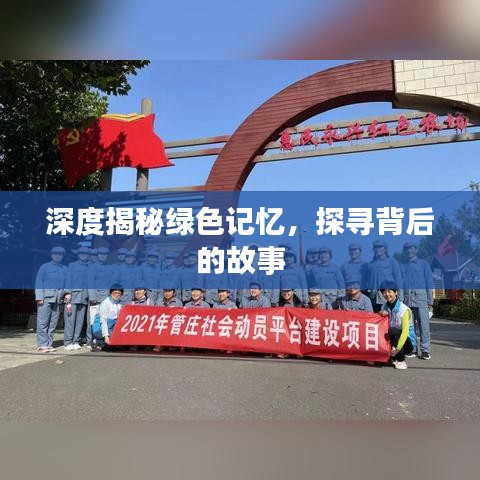 深度揭秘绿色记忆，探寻背后的故事